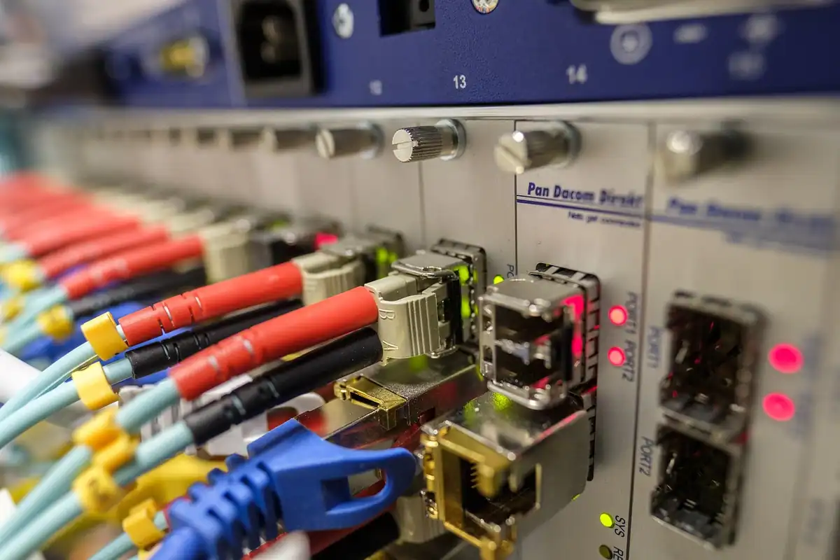 Cablu de rețea introdus în portul unui router, cu alte cabluri conectate alături